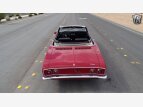 Thumbnail Photo 22 for 1966 Chevrolet Corvair